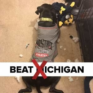 Meet your Posher, Becca